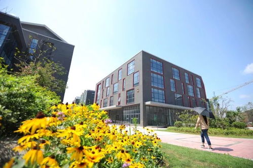 梅開春光爛漫，聚能引領(lǐng)未來——鼓樓云創(chuàng)科技園軟件外包服務(wù)