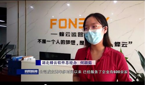 湖北蜂云軟件 壯大軟件開發(fā)市場(chǎng)主體，促進(jìn)服務(wù)外包量增質(zhì)升